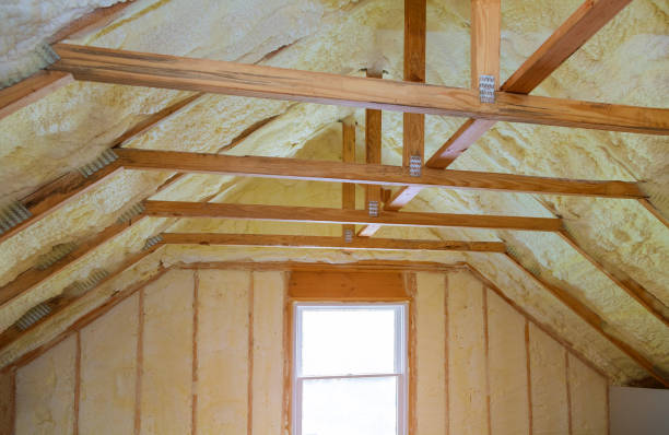 Best Insulation Contractor Near Me  in Park City, IL