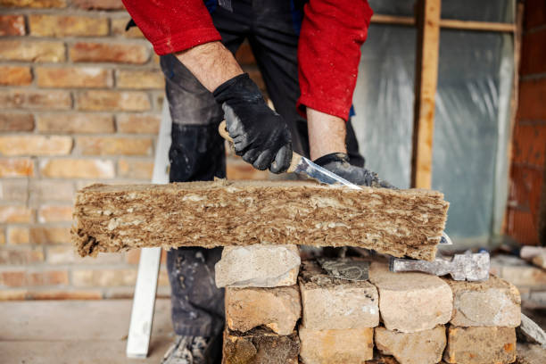 Best Insulation Inspection Services  in Park City, IL